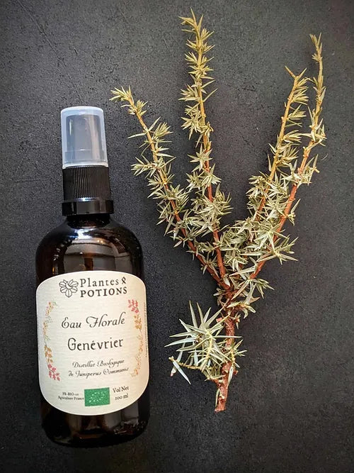 Eau de Genévrier | Juniperus Communis