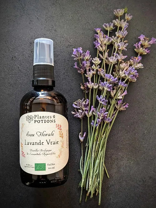 Eau de Lavande | Lavandula Angustifolia