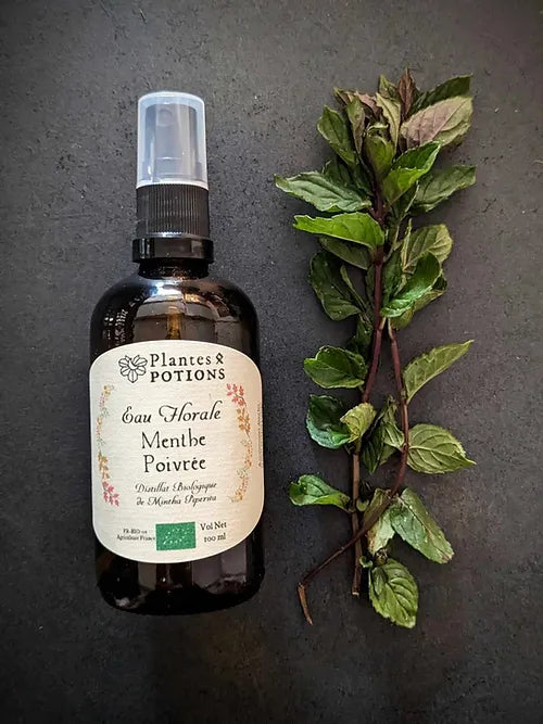 Eau de Menthe Poivrée | Mentha Piperita