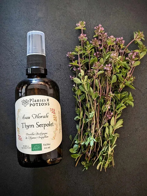 Eau de Thym Serpolet | Thymus Serpyllum