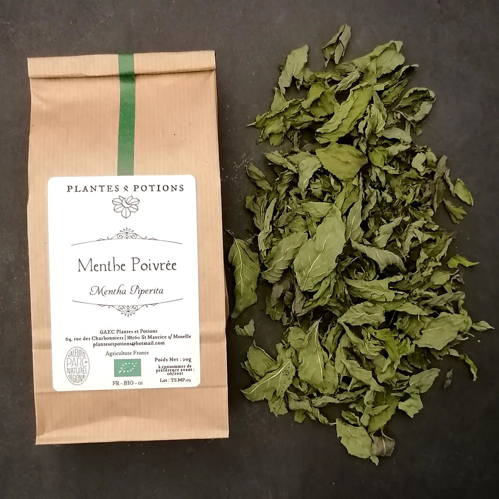 Menthe Poivrée | Mentha Piperita